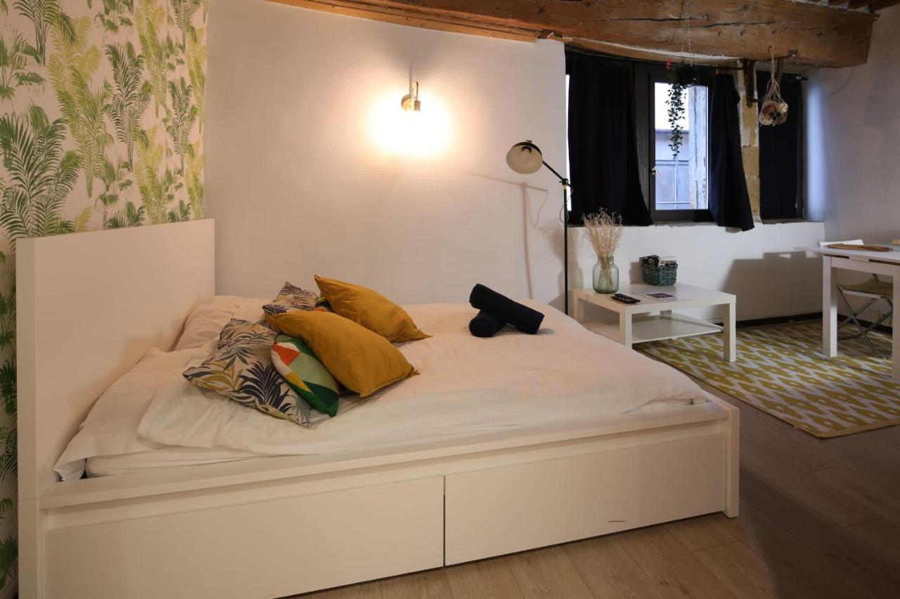 Charming Studio Centre Ville De Lyon Exteriér fotografie