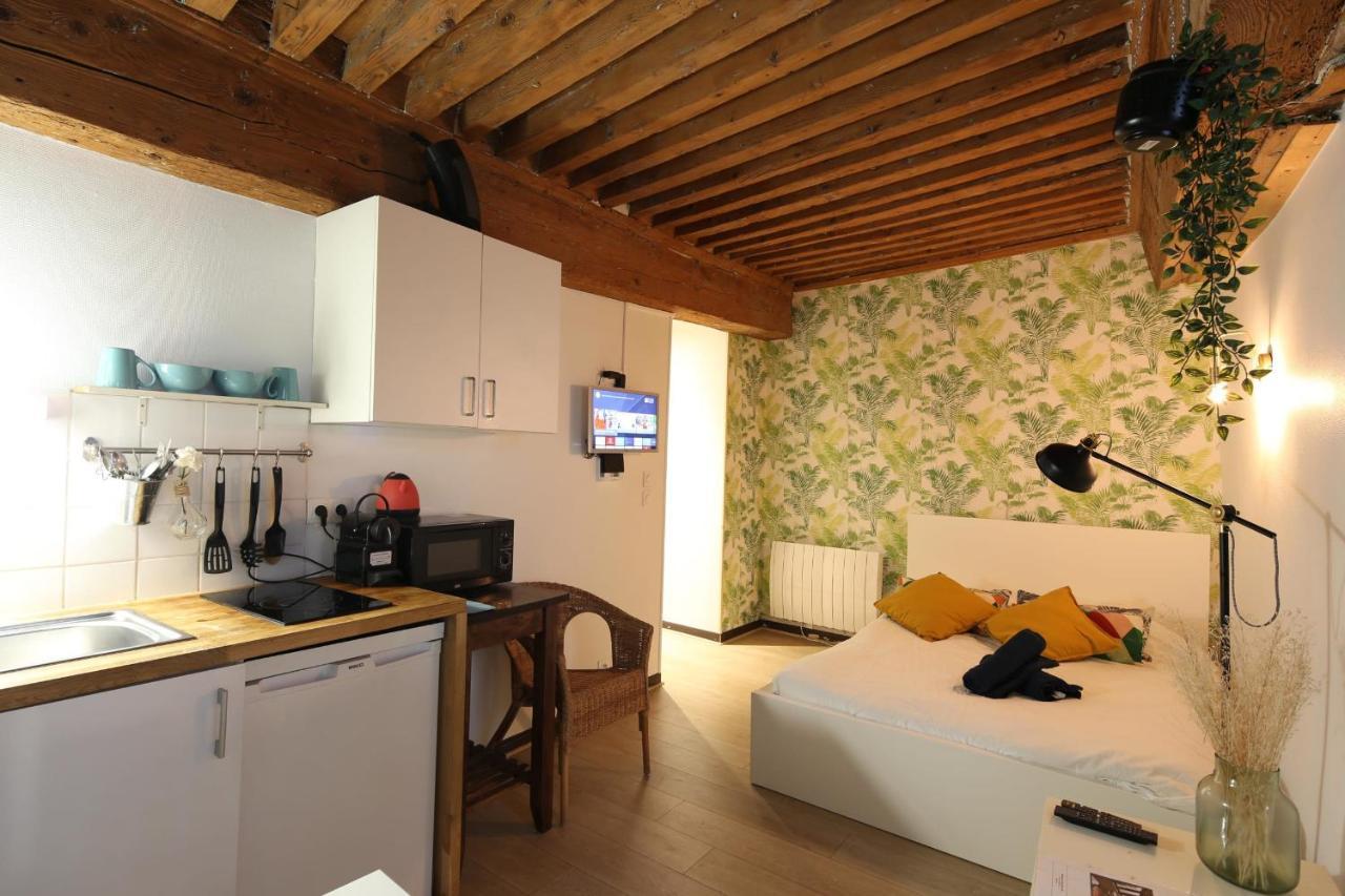 Charming Studio Centre Ville De Lyon Exteriér fotografie